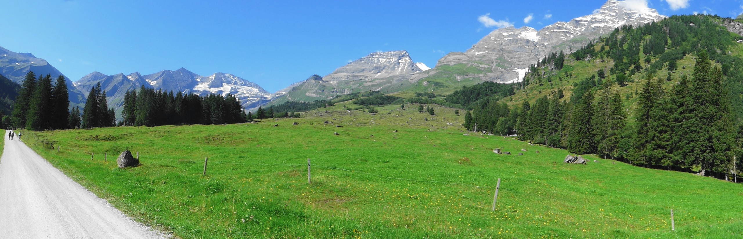 Panoramablick Käfertal